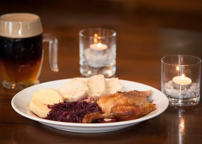 V Udoli 招待所 3*